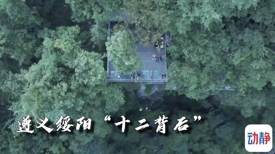 肺气不足怎么调养？游戏画面