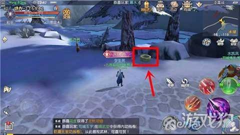 白孔雀救援