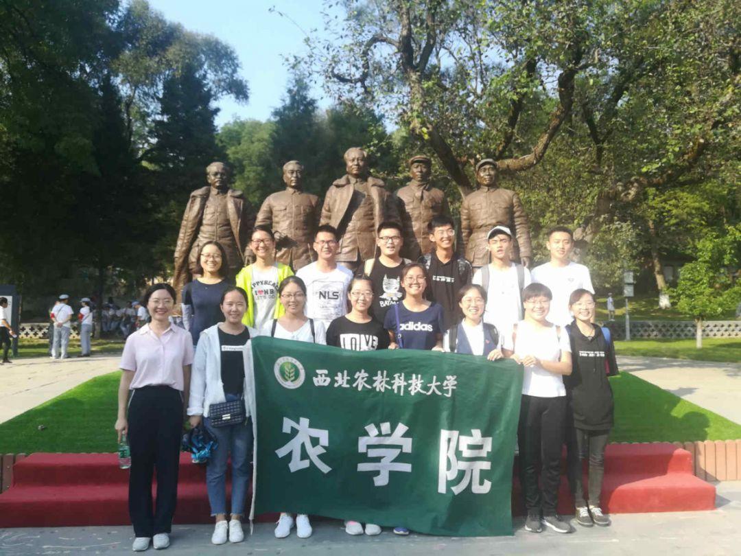 补肾生精最快的食物有哪些？游戏画面