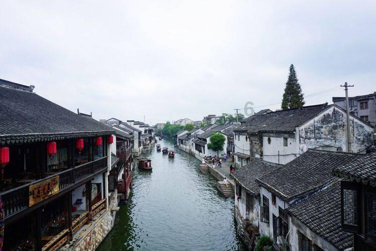 小僵尸射飞鸟
